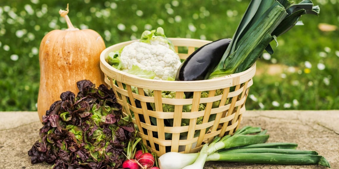 alimentos locales