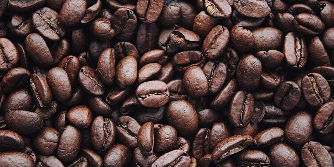 Café de comercio directo: más calidad, más sostenible