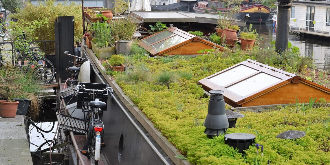 construir un techo verde