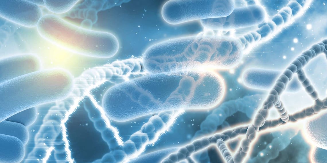 bioelectricidad