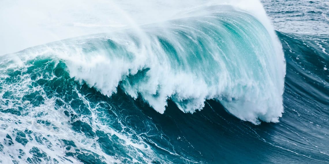 Olas