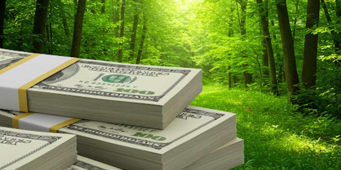 crowdfunding ecológico