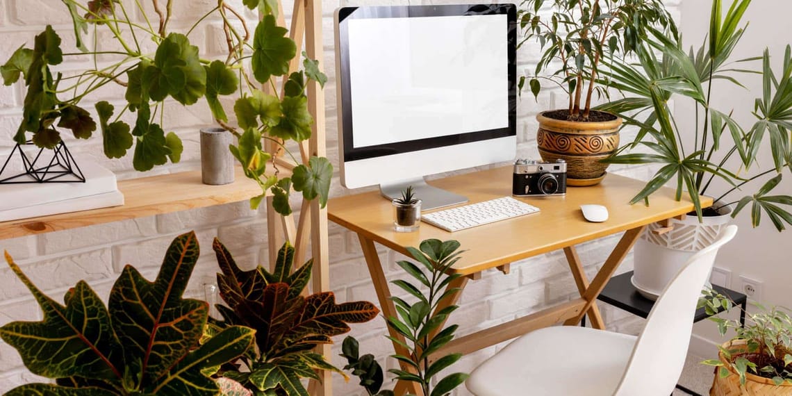 oficinas con plantas