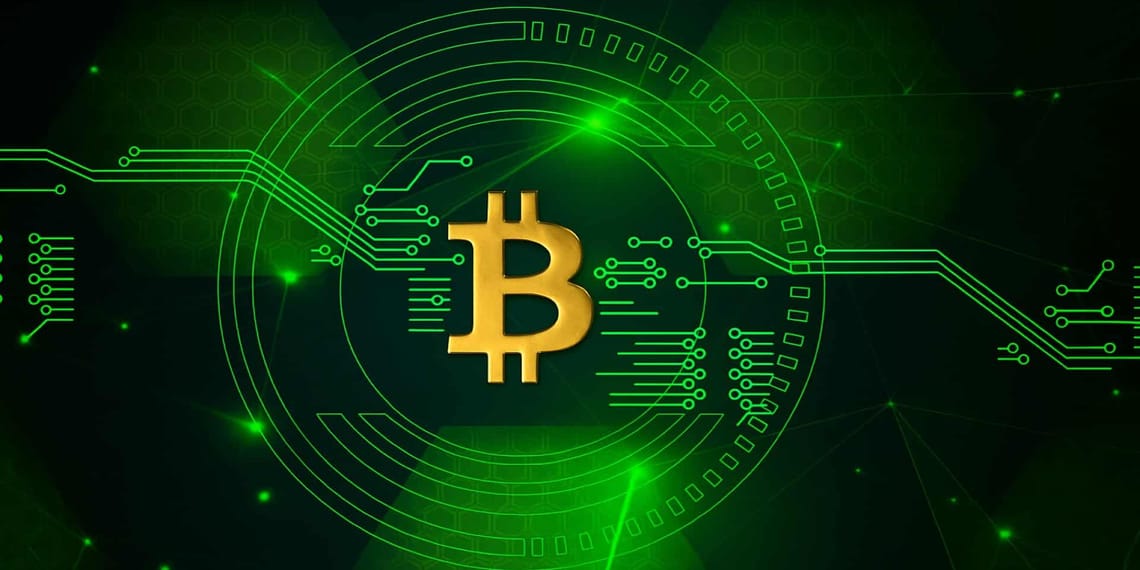 Ilustración de una moneda digital flotando sobre hojas verdes