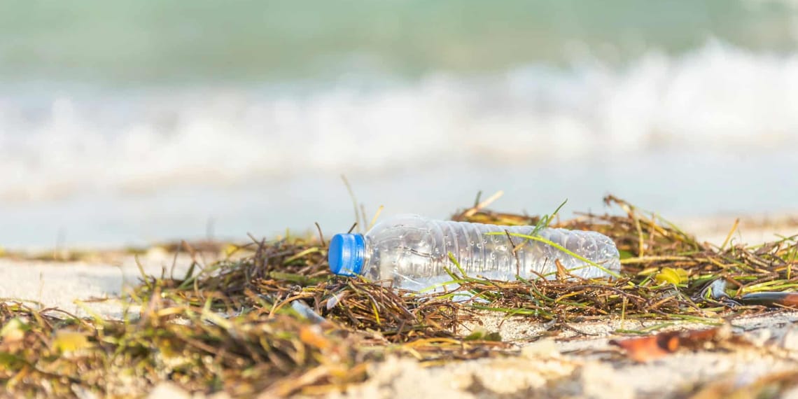 Plásticos biodegradables de algas