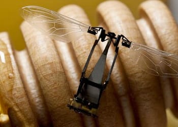Abejas robóticas polinizadoras