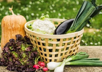 alimentos locales
