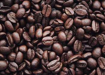 Café de comercio directo: más calidad, más sostenible