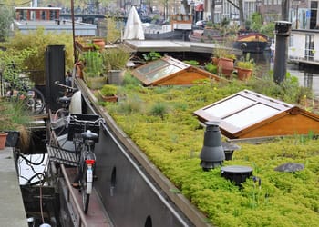construir un techo verde