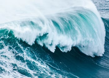 Olas