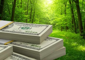 crowdfunding ecológico