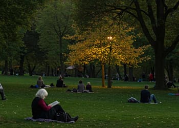 vivir cerca de un parque