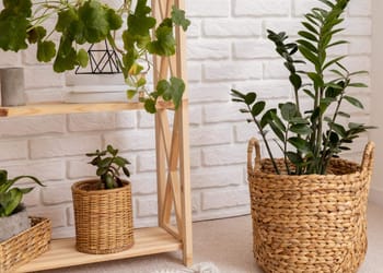 Decoración sostenible