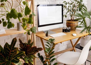 oficinas con plantas