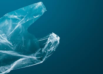 Plastico