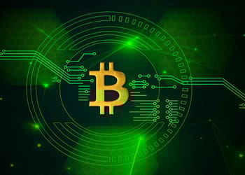 Ilustración de una moneda digital flotando sobre hojas verdes