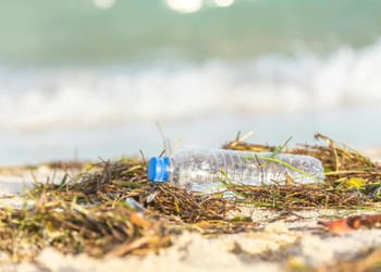 Plásticos biodegradables de algas