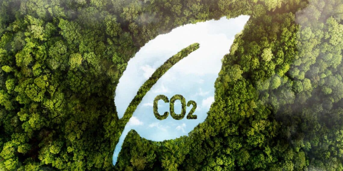 Eliminar el CO₂