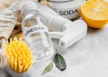 limpiador ecológico sin químicos