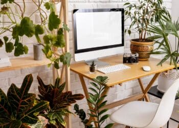 oficinas con plantas