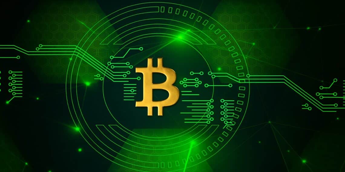 Ilustración de una moneda digital flotando sobre hojas verdes