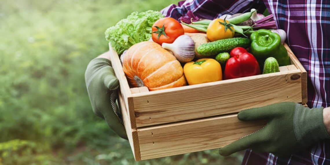 Mesa con menú semanal sostenible a base de verduras de temporada y legumbres