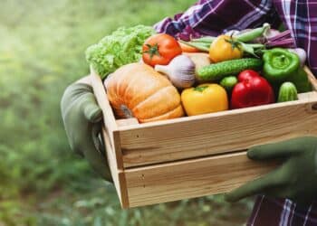 Mesa con menú semanal sostenible a base de verduras de temporada y legumbres