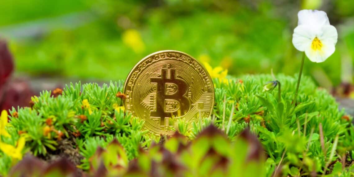 Smartphone mostrando green tokens de energía renovable