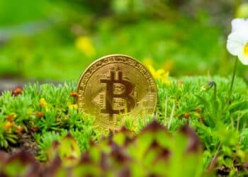 Smartphone mostrando green tokens de energía renovable