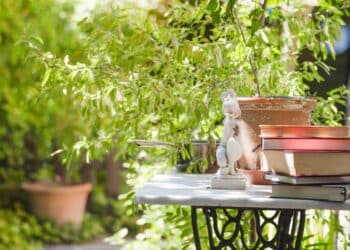 Jardin