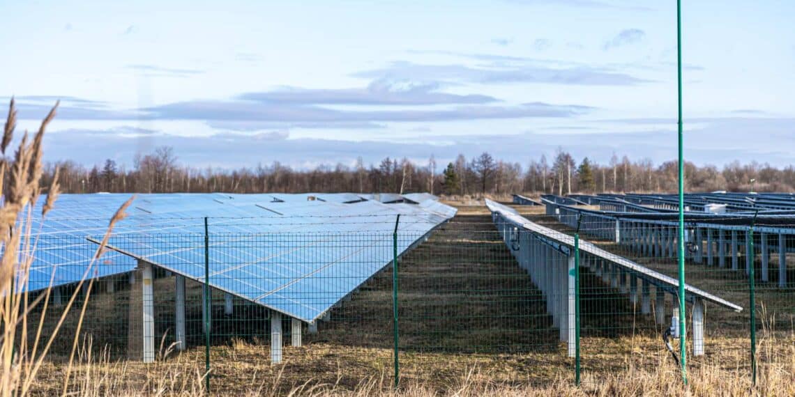 Paneles solares de perovskita