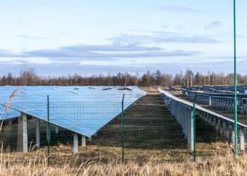 Paneles solares de perovskita