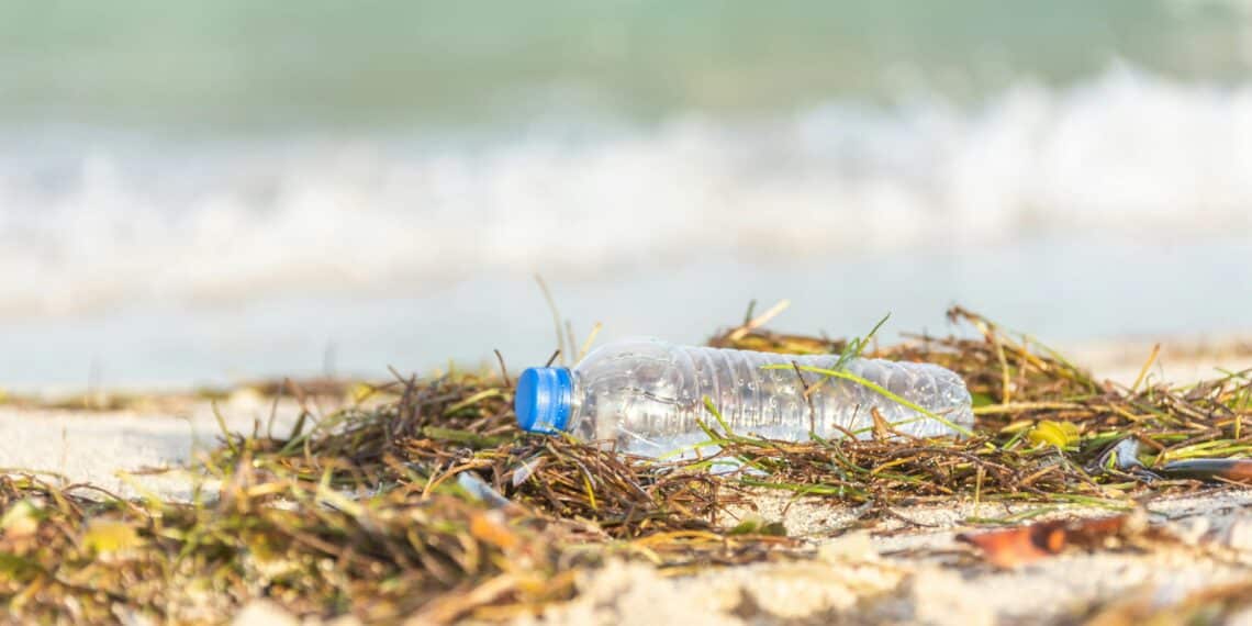 Plásticos biodegradables de algas