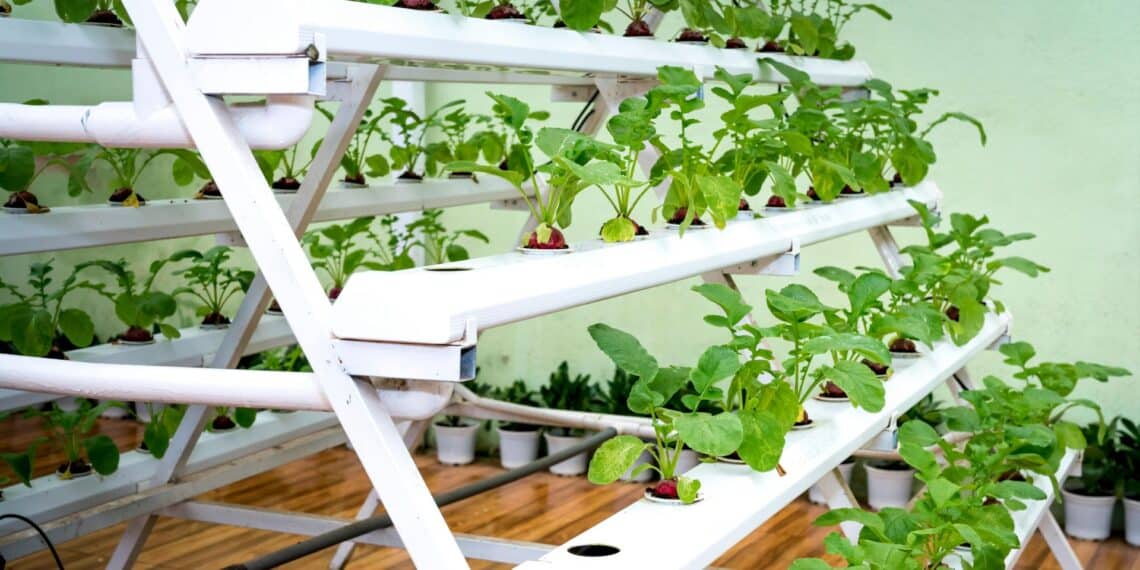 Cultivo Vertical Interior en Acción