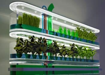 Estanterías de cultivo interior con agricultura vertical LED espectral y control de clima