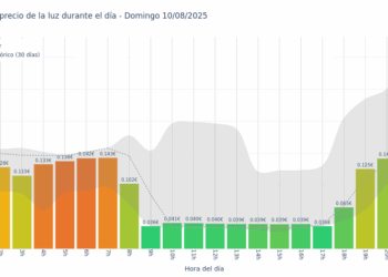 Gráfico de precios de la luz por horas para el Domingo 10 de Agosto de 2025
