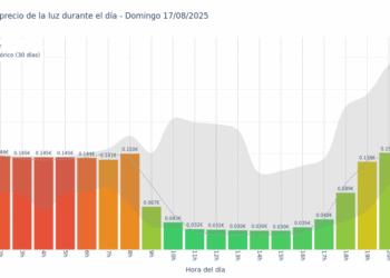 Gráfico de precios de la luz por horas para el Domingo 17 de Agosto de 2025