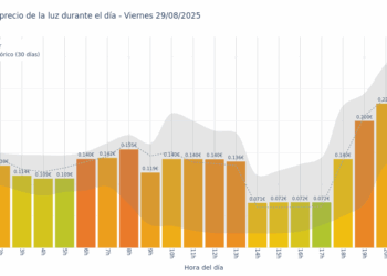 Gráfico de precios de la luz por horas para el Viernes 29 de Agosto de 2025