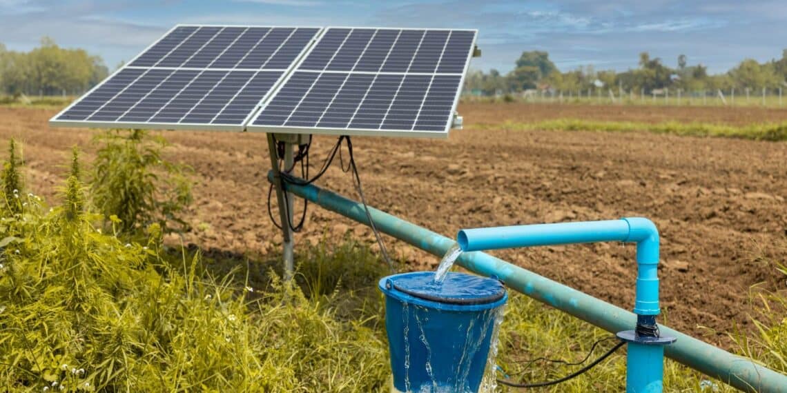 Sistema de bombeo solar con batería de hierro-aire alimentando riego nocturno en finca