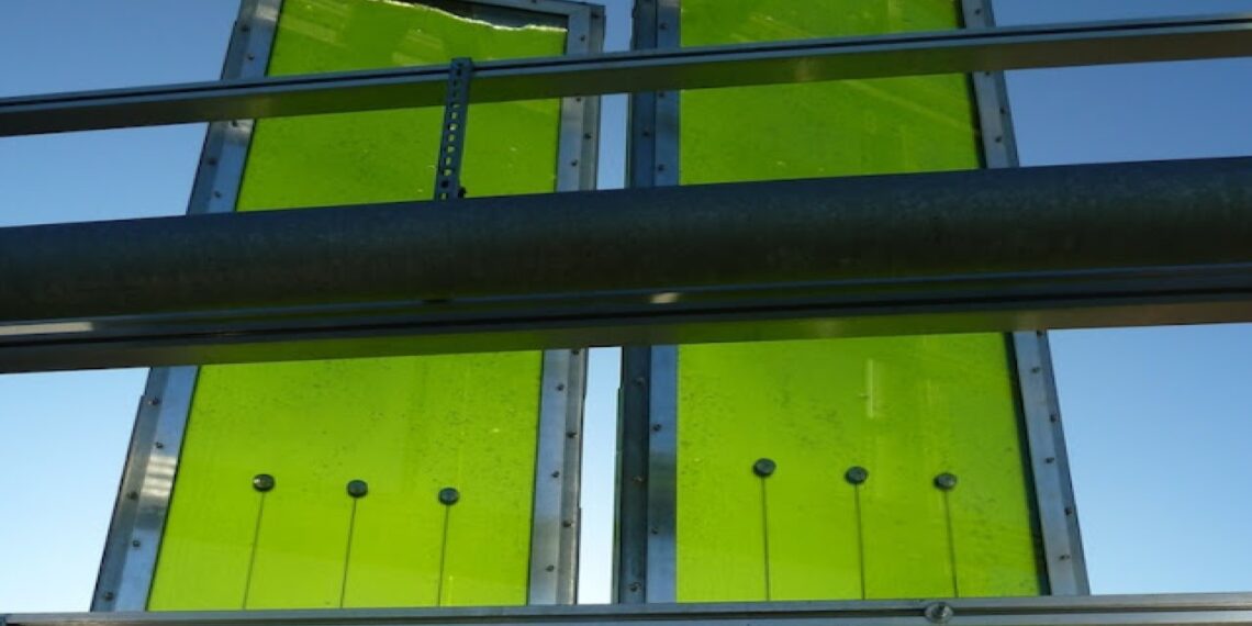 Módulos de biorreactores de algas en fachadas con tubos verdes sobre vidrio.