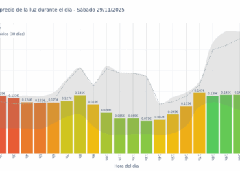 Gráfico de precios de la luz por horas para el Sábado 29 de Noviembre de 2025