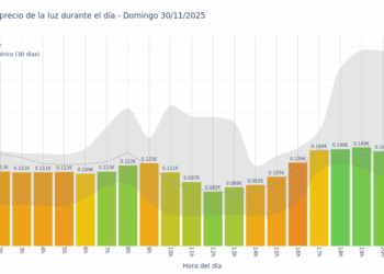 Gráfico de precios de la luz por horas para el Domingo 30 de Noviembre de 2025