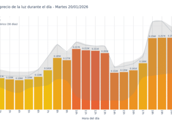 Gráfico de precios de la luz por horas para el Martes 20 de Enero de 2026