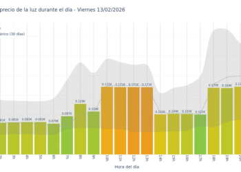 Gráfico de precios de la luz por horas para el Viernes 13 de Febrero de 2026