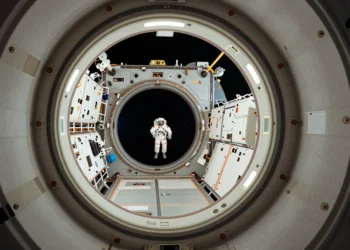 Oversized docking adapter in spacecraft corridor, highlighting revolutionary design and scale for open-standard space.