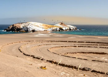 Ni oro ni plata: excrementos de ave fueron el recurso secreto detrás de uno de los reinos más poderosos del Perú antiguo 5 Ancient terraced fields and Chincha Islands with seabirds in the Peruvian coastal desert.
