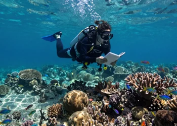 Periodista buceadora toma notas en libreta impermeable sobre arrecife de coral tropical, documentando el cambio climático