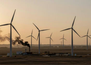Parque eólico chino al atardecer con turbinas blancas y humo negro de central de carbón al fondo