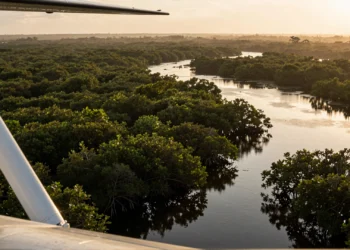 Científicos de la NASA descubren que los huracanes convierten los manglares de Florida en emisores netos de carbono 8 Vista aérea de manglares inundados de los Everglades de Florida fotografiada desde avión de la NASA