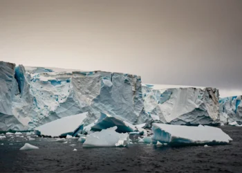 Mentiras del cambio climático: la ciencia demuestra que el retroceso del glaciar Pine Island no fue solo cosa de la naturaleza 6 Retroceso del glaciar Pine Island en la Antártida: bloques de hielo azul se fragmentan en aguas oscuras del océano polar